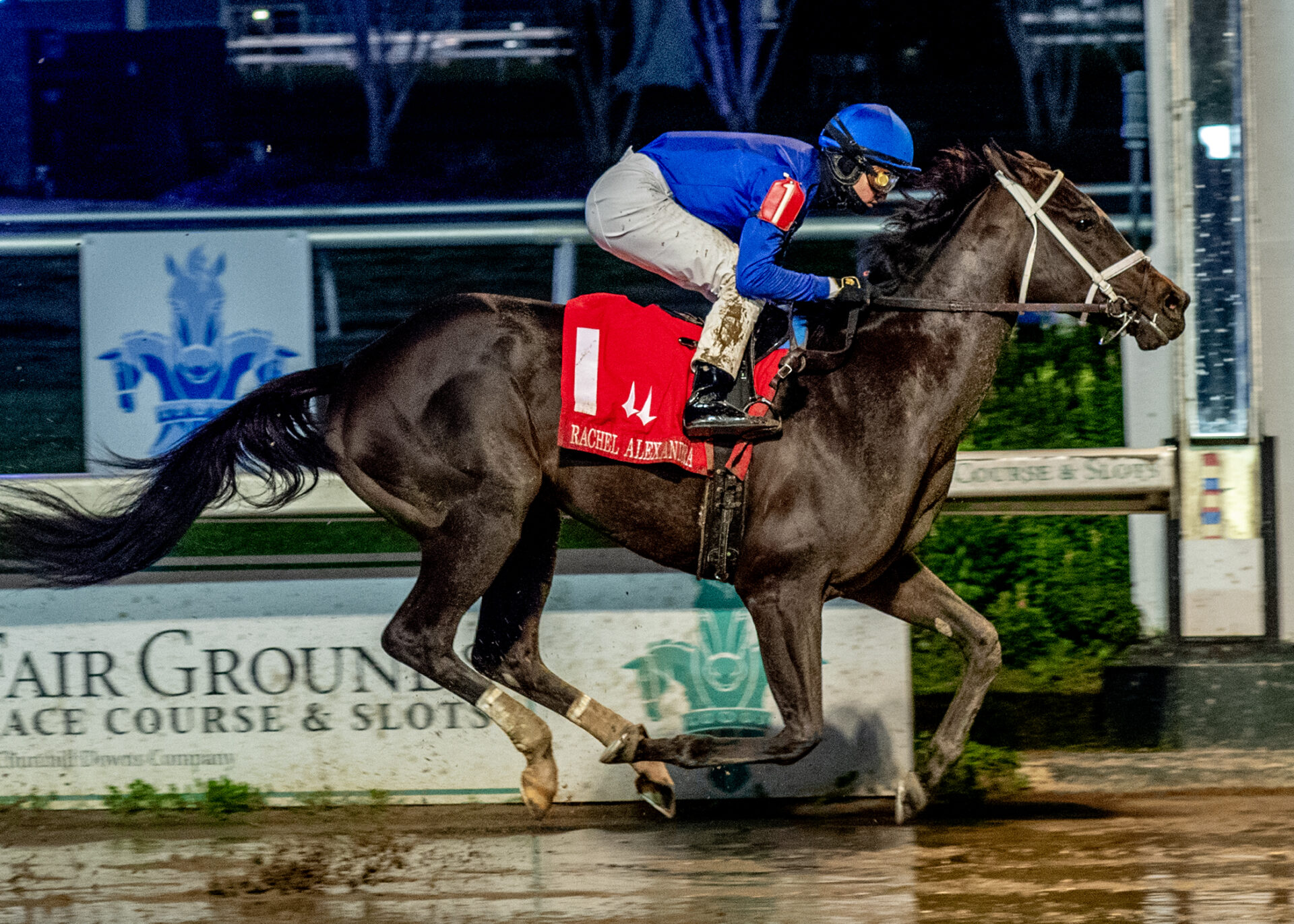 Fair Grounds Oaks 2024 Fair Grounds Picks [Kentucky Oaks]