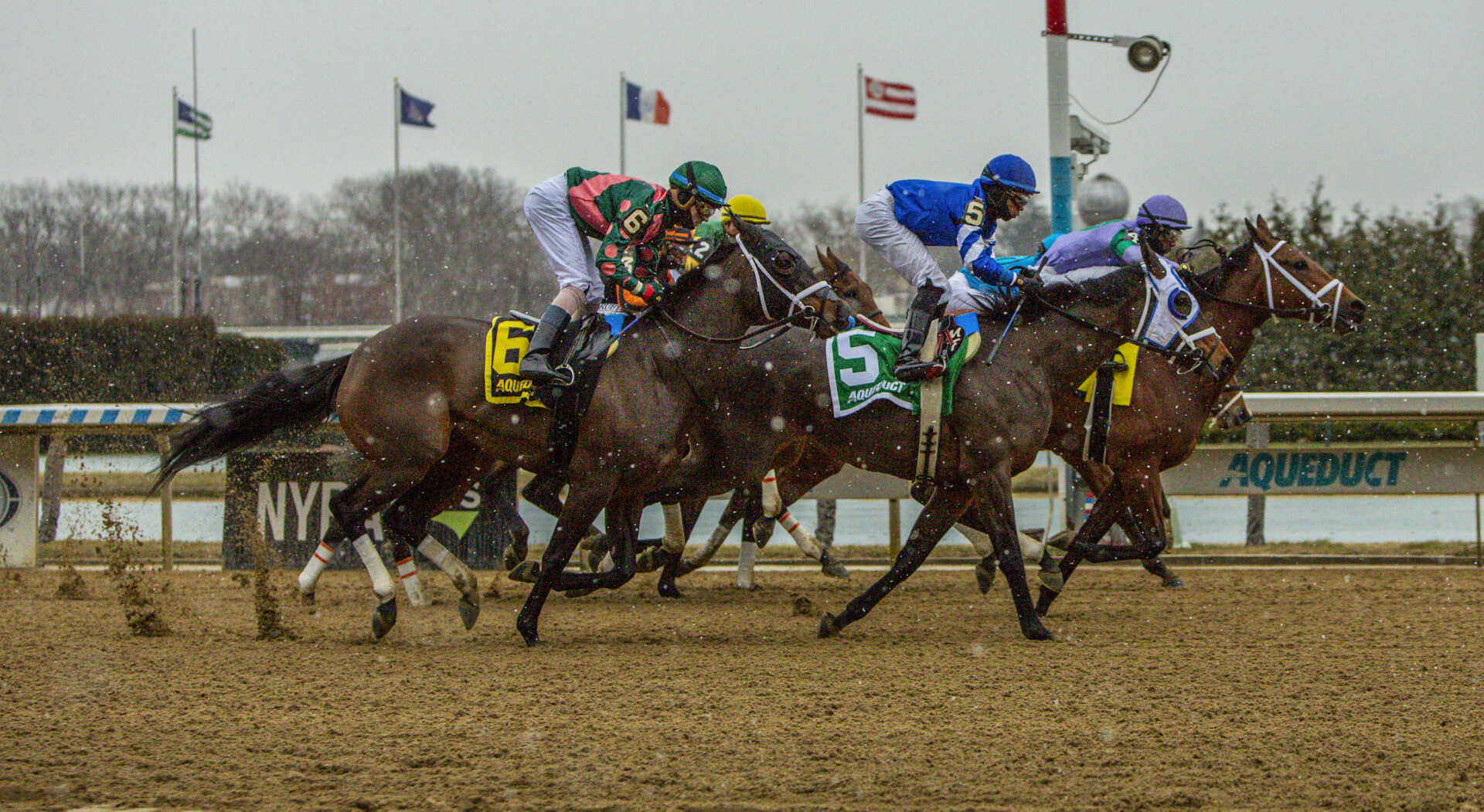 Aqueduct Picks Toboggan Stakes 2024