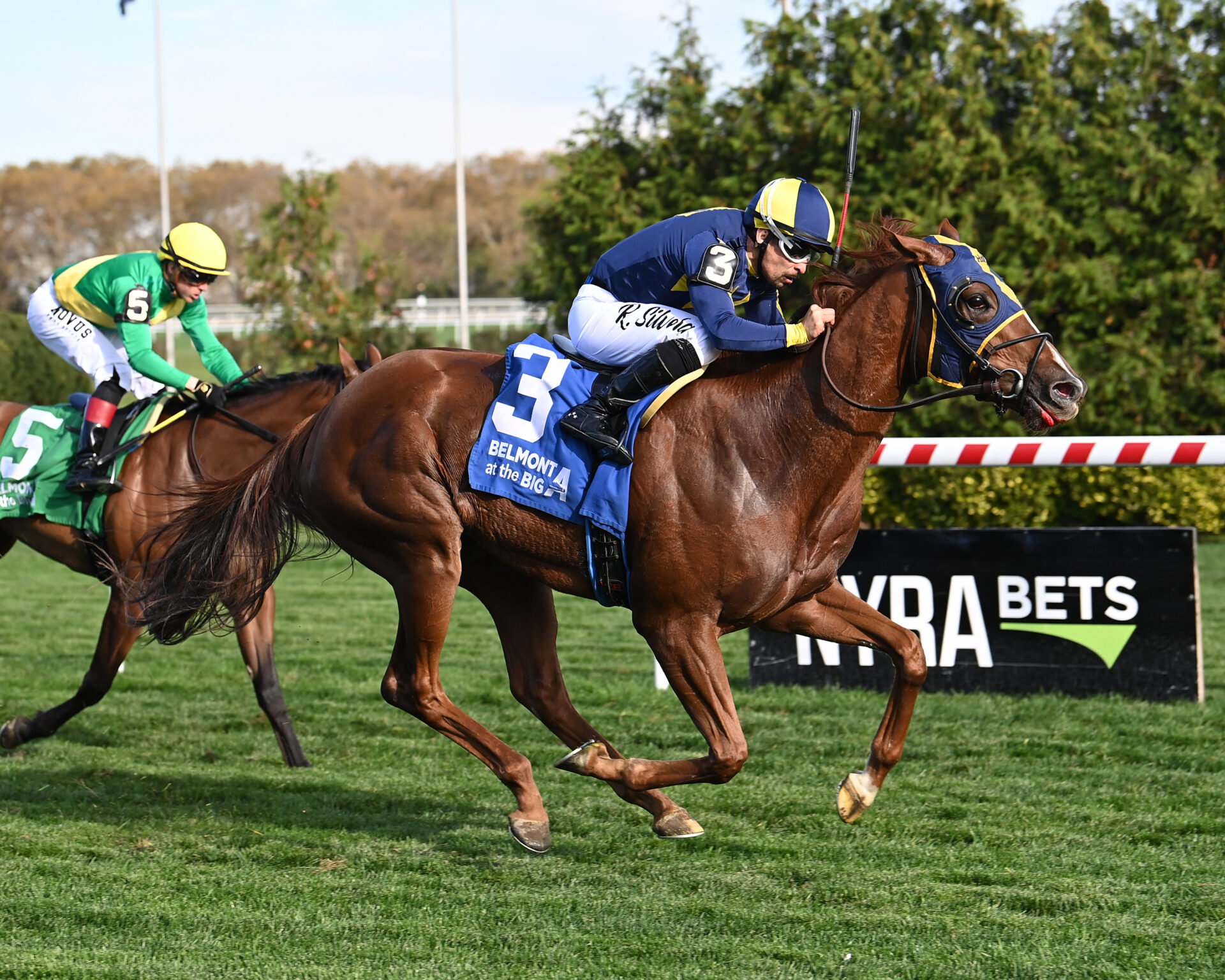 Turfway Park Current Conditions 2024 - Ivonne Lynnea