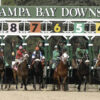 Tampa Bay Downs FREE Win Picks and Star Plays | February 9, 2025