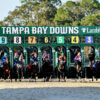 Racing Dudes Premium Picks CRUSH Trifecta at Tampa Bay Downs for $203.95 on $12 Ticket 11/29/24