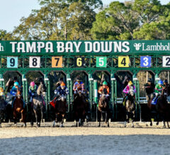 Triple Crown 2024 Racing Dudes Fantasy League Update: New Leader Heading Into Tampa Bay Derby