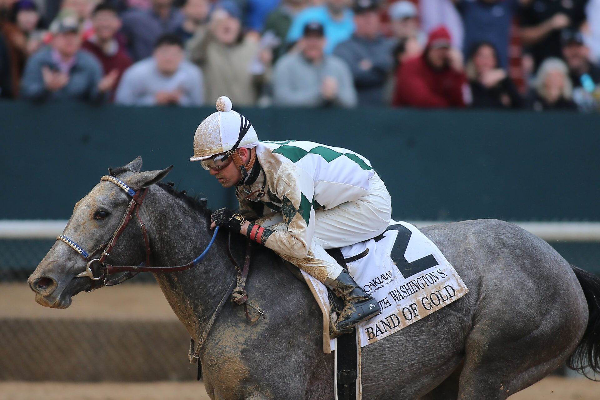 Martha Washington Stakes 2024 Oaklawn Replay [Kentucky Oaks]