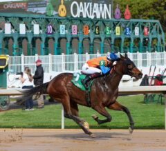 Racing Dudes Premium Picks CASH Large Superfecta at Oaklawn Park for $108.40 on $2.40 Ticket 12/13/24