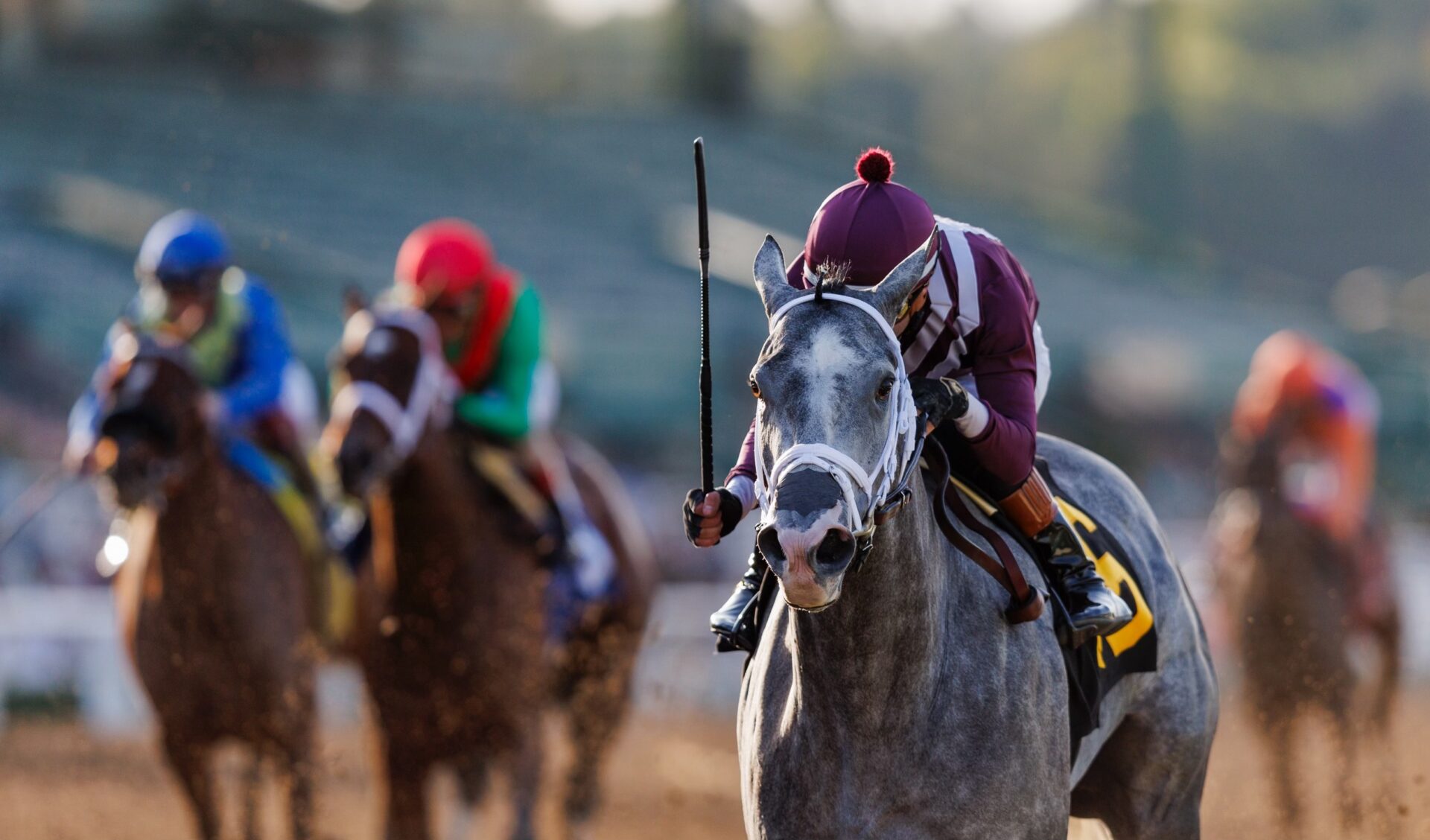 Beholder Mile Stakes 2024 Santa Anita Park Replay