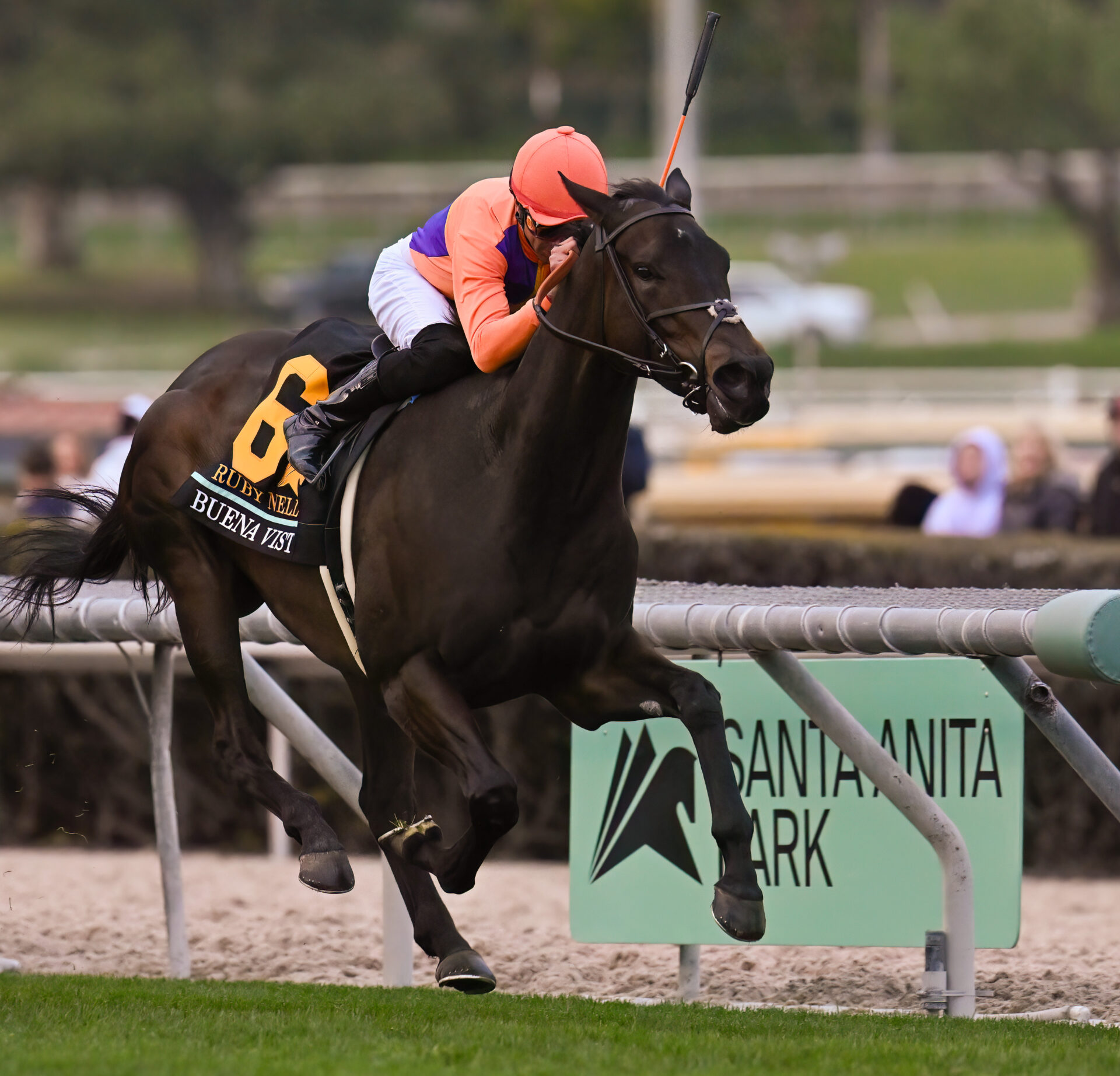 Santa Anita Park Picks | Gamely Stakes 2024