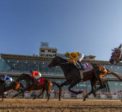 Gun Runner Stakes Picks and Preview 2024