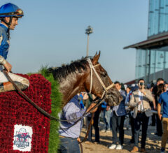 Preakness Stakes News | Catching Freedom Will Run