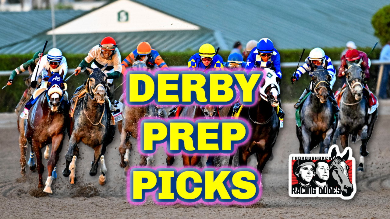 Kentucky Derby Prep Picks Fountain Of Youth, Battaglia, Gotham