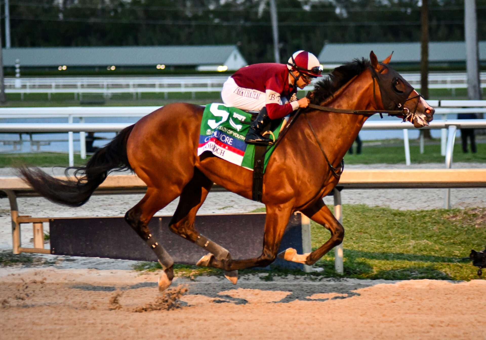 Fountain Of Youth Stakes 2024 Gulfstream Park Replay