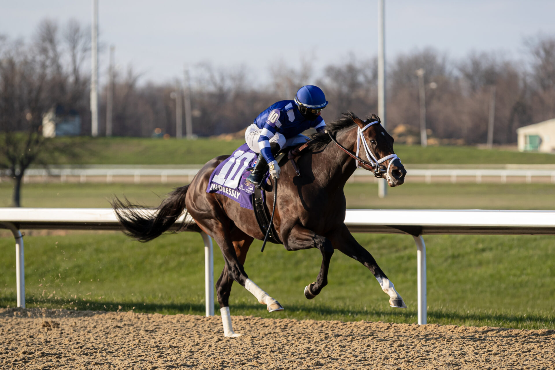 Endlessly Kentucky Derby 2024 Contender Profile