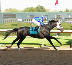 Clark Stakes 2025 Picks and Preview | Black Friday Showdown at Churchill Downs