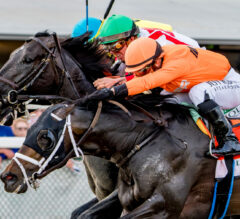 Kentucky Derby 2024 Latest News & Top 20 | Tampa Bay Derby Run Amid Confusion