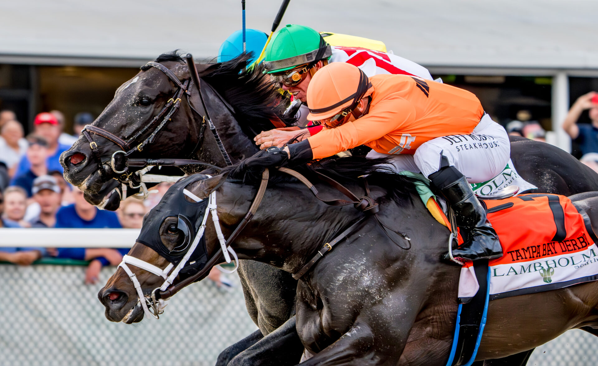 Kentucky Derby 2024 Latest News & Top 20 Tampa Bay Derby