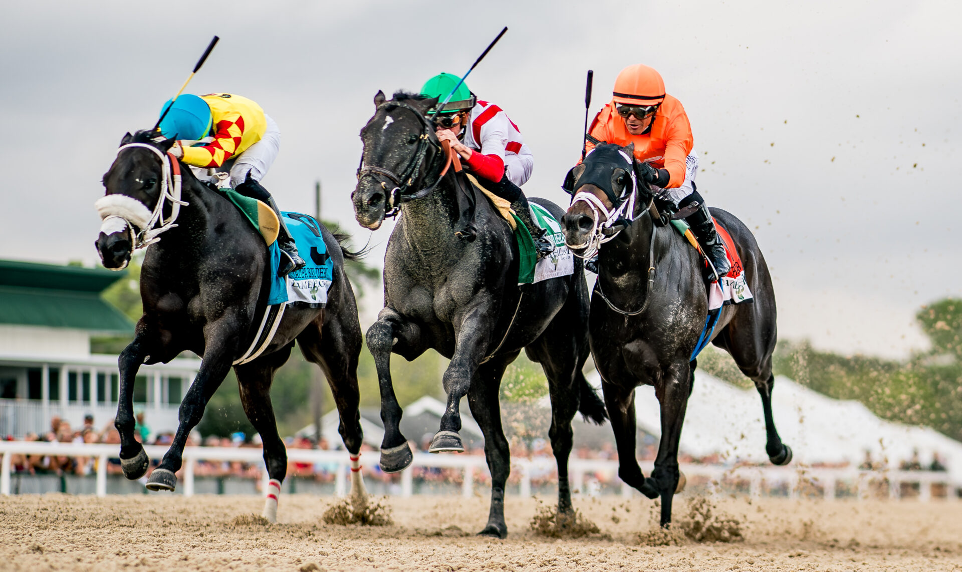 Tampa Bay Derby 2024 Tampa Bay Downs Replay