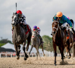 Belmont At The Big A Picks | Dancin Renee Stakes 2024