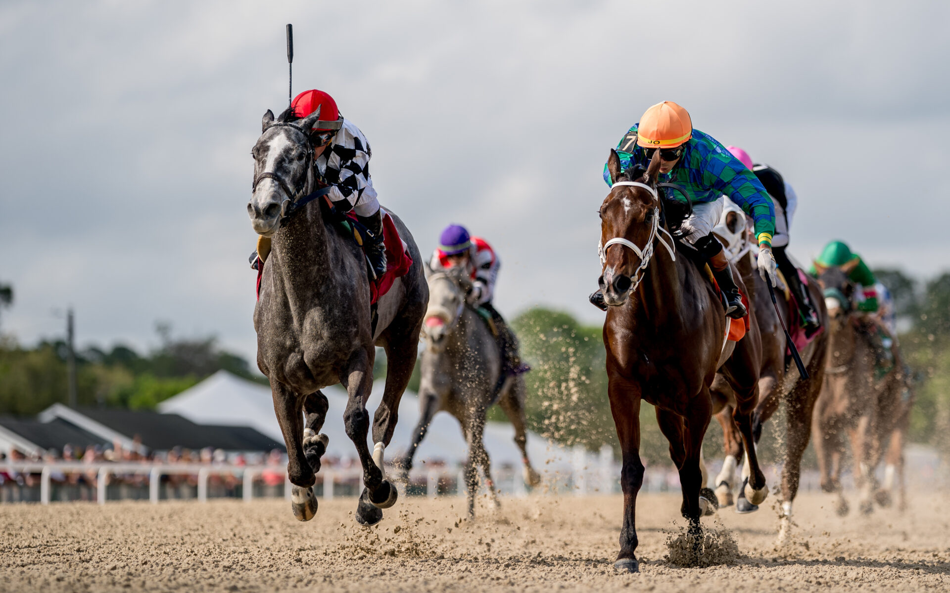 Belmont at the big a picks dancin renee stakes 2024