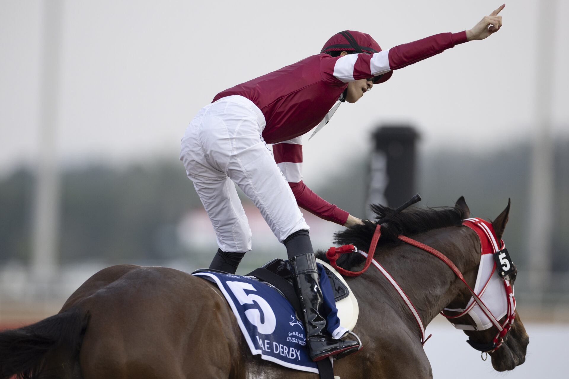 Breeders' Cup 2024 Top 5 Races - Racing Dudes