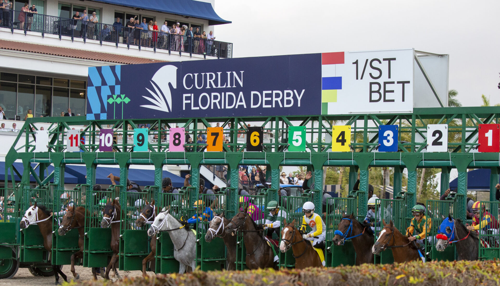 Kentucky Derby 2024 Latest News & Top Contenders