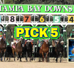 Tampa Bay Downs Pick 5 [Tampa Bay Derby Day] | The Magic Mike Show 533