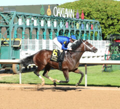 Racing Dudes Premium Picks CASH Nice Trifecta at Oaklawn Park for $108.55 on $12 Ticket 12/20/24