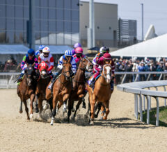 Racing Dudes Premium Picks HIT Nice Trifecta at Turfway Park for $105.26 on $12 Ticket 12/27/24