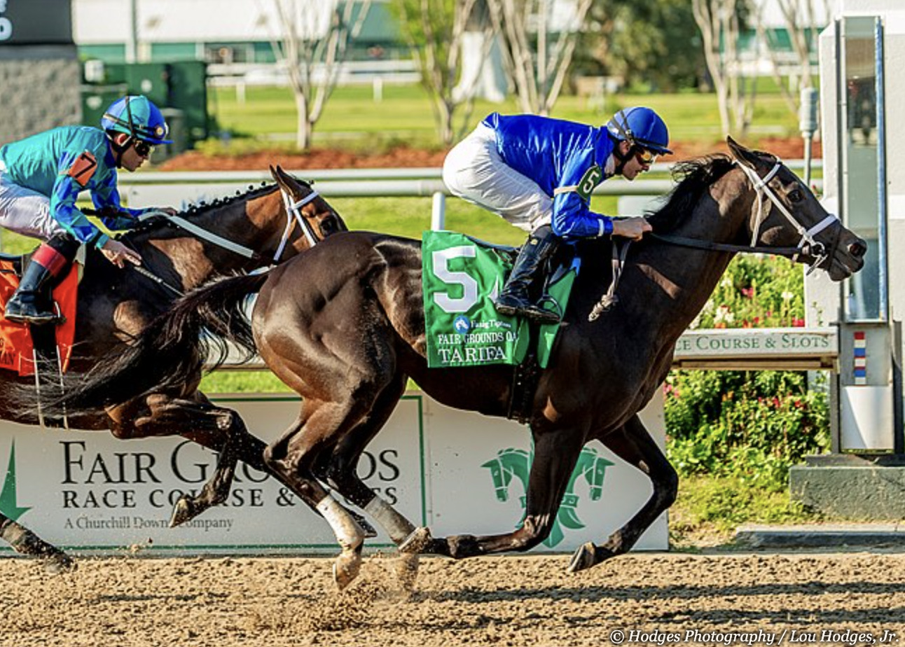 Fair Grounds Oaks 2024 Fair Grounds Replay [Kentucky Oaks]