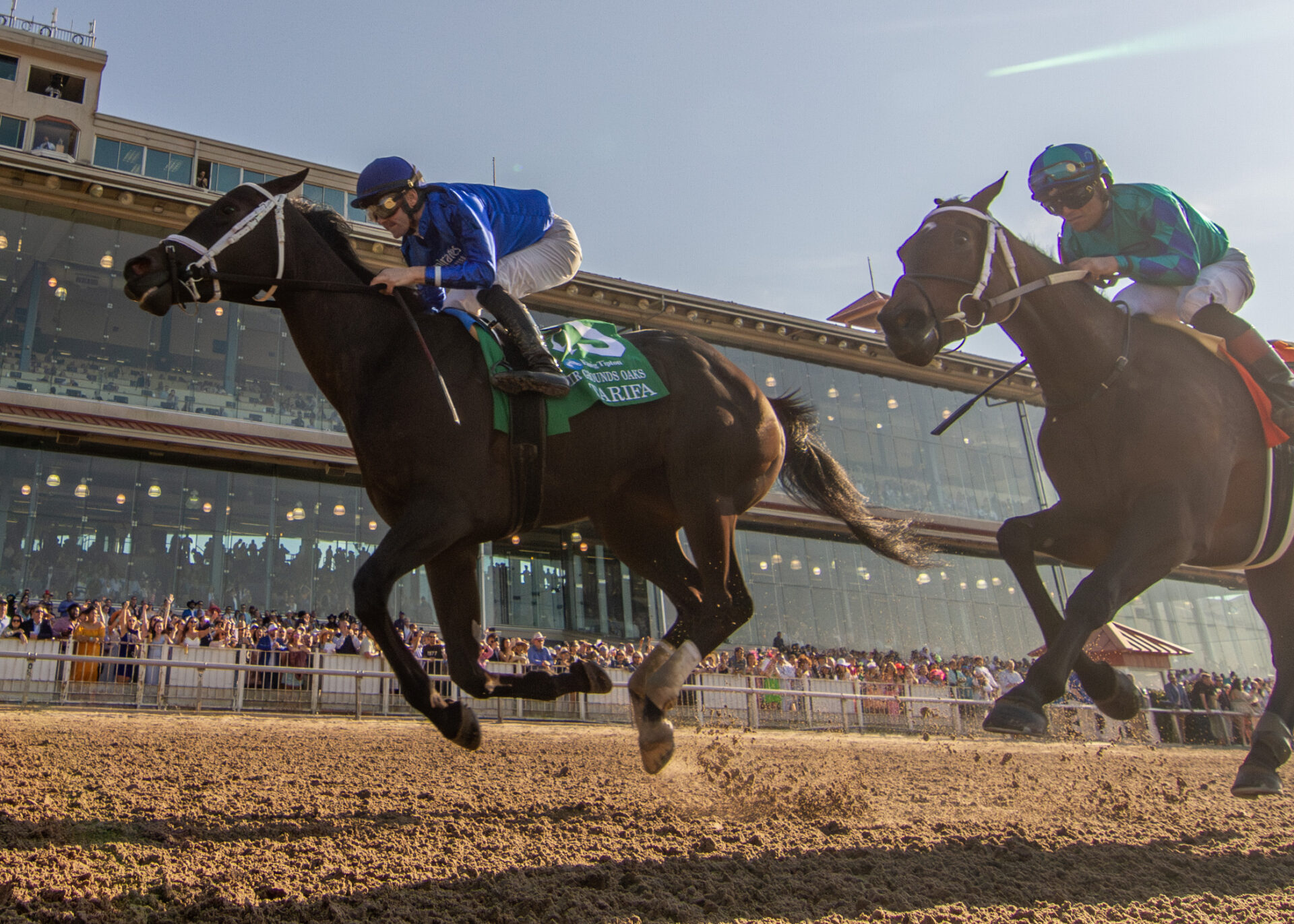 Trifecta Racing Racing Dudes Premium Picks CRUSH Trifecta at Fair Grounds for $228.75 ...