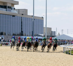 Racing Dudes Premium Picks HIT Nice Trifecta at Turfway Park for $125.16 on $12 Ticket 1/1/25