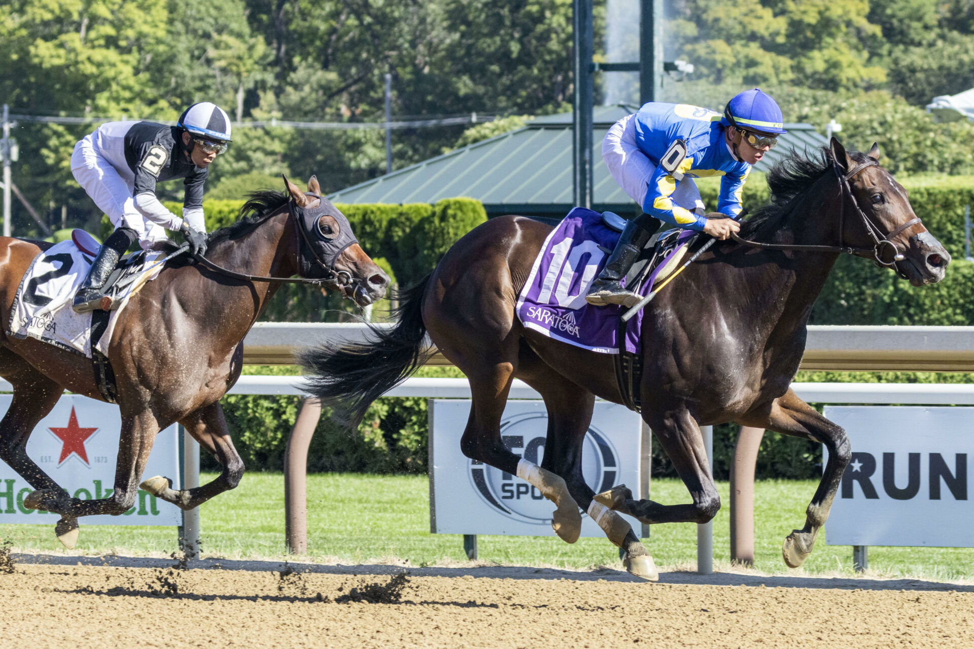 Aqueduct Picks | Biogio's Rose Stakes 2024