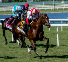 Gulfstream Park FREE Win Picks and Star Plays | March 2, 2025