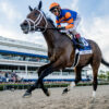 Fierceness | Get To Know The 2024 Kentucky Derby Contender
