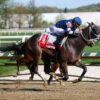 Preakness Stakes News | Copper Tax Possible