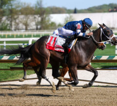 Preakness Stakes News | Copper Tax Possible