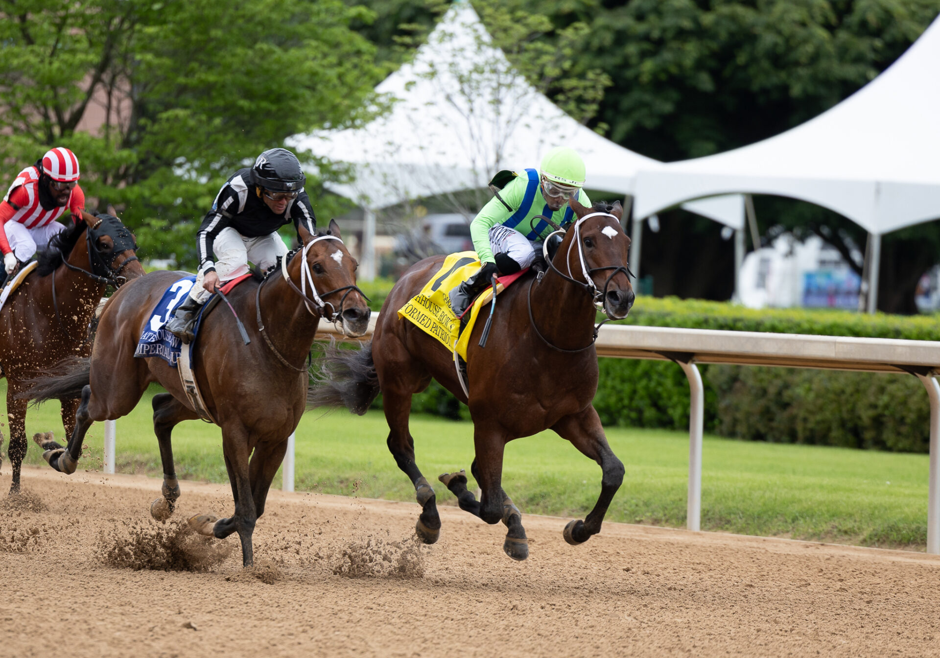 Haskell Stakes 2024 Contenders Anna Zuzana