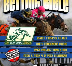 Blue Grass Stakes 2024 Betting Bible | Get Expert Picks NOW!