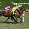 Sword Dancer Stakes 2025 Picks and Preview | Far Bridge Aims for Back to Back Victories