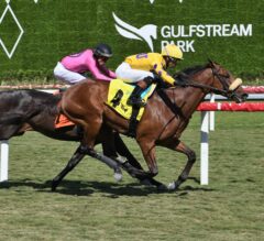 Sword Dancer Stakes 2025 Picks and Preview | Far Bridge Aims for Back to Back Victories
