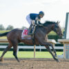 Stephen Foster Stakes Picks and Preview 2025 | Win and You’re In for the Breeders Cup Classic