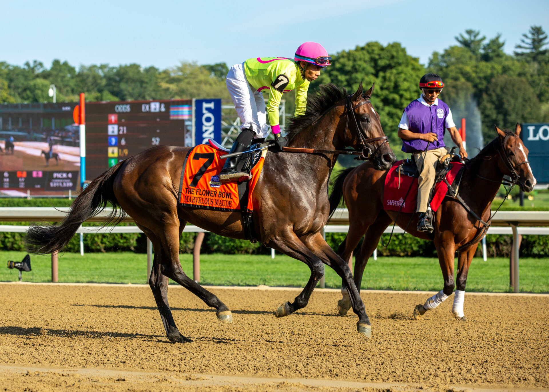 Aqueduct Picks | Plenty Of Grace Stakes 2024