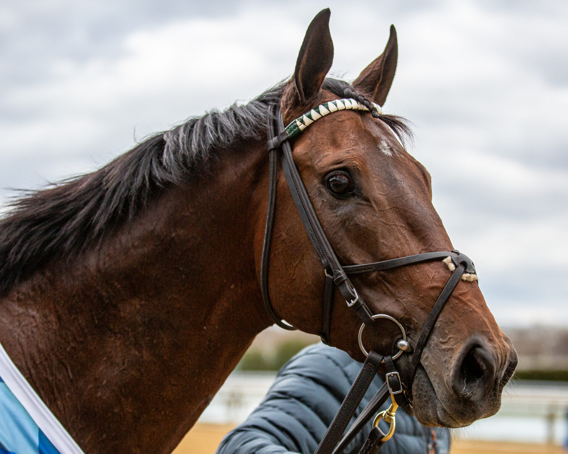 Kentucky Derby Long Shot Picks & Plays