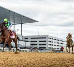 Somo Bombs CASH Late Pick 4 at Aqueduct for $462.25 on $45 Ticket 11/16/24