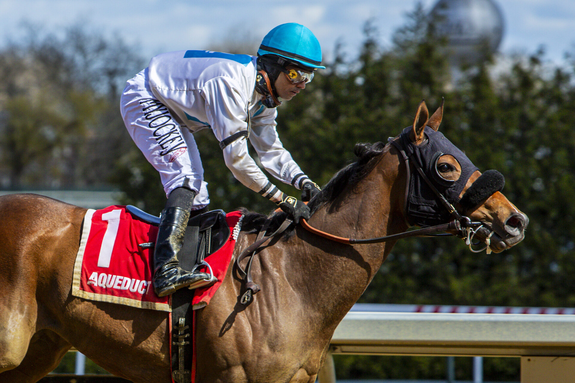 Gazelle Stakes 2024 | Aqueduct Replay [Kentucky Oaks]