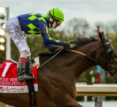Resilience | Get To Know The 2024 Kentucky Derby Contender