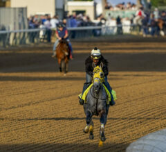 Kentucky Derby Workout Reports | Top Contenders & Long Shots