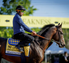 Preakness Stakes News | Will Imagination Be Pacesetter?
