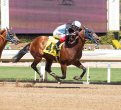 Santa Anita Park Picks | Lazaro Barrera Stakes 2024