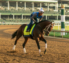 Preakness Stakes News | Catching Freedom Has Spirited Gallop
