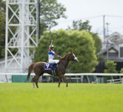 How to Make Best Bets on Upcoming Horse Racing Events?