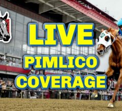 Preakness Stakes 2024 LIVE Coverage & Picks